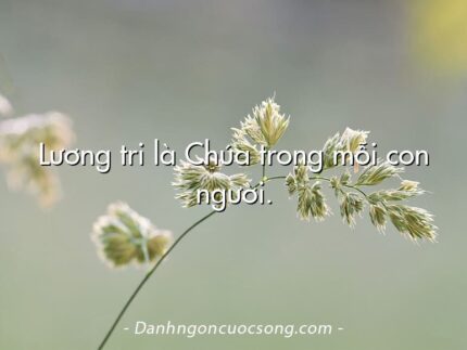 Lương tri là Chúa trong mỗi con người.