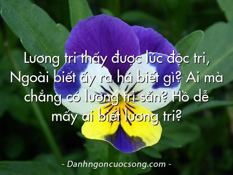 Lương tri thấy được lúc độc tri, Ngoài biết ấy ra há biết gì? Ai mà chẳng có lương tri sẵn? Hồ dễ mấy ai biết lương tri?