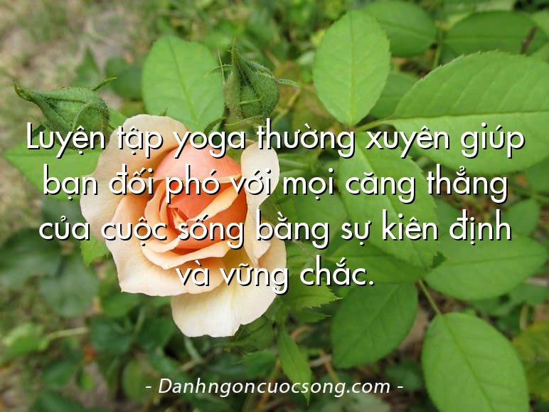 Luyện tập yoga thường xuyên giúp bạn đối phó với mọi căng thẳng của cuộc sống bằng sự kiên định và vững chắc.