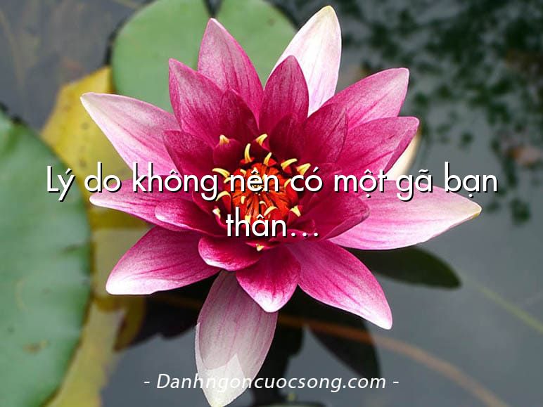 Lý do không nên có một gã bạn thân…