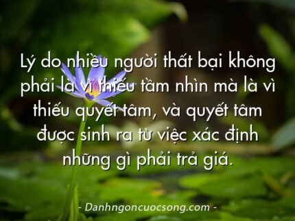 Lý do nhiều người thất bại không phải là vì thiếu tầm nhìn mà là vì thiếu quyết tâm, và quyết tâm được sinh ra từ việc xác định những gì phải trả giá.