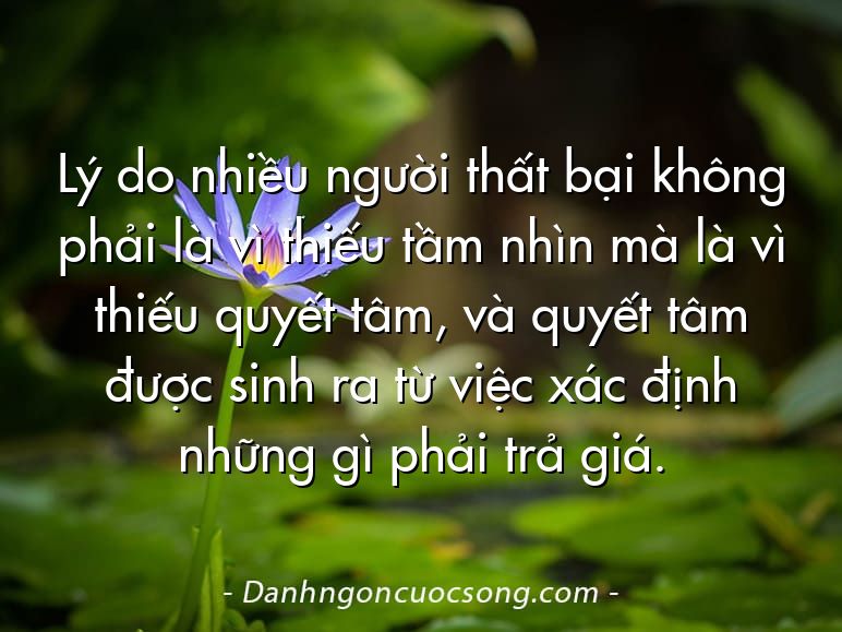 Lý do nhiều người thất bại không phải là vì thiếu tầm nhìn mà là vì thiếu quyết tâm, và quyết tâm được sinh ra từ việc xác định những gì phải trả giá.