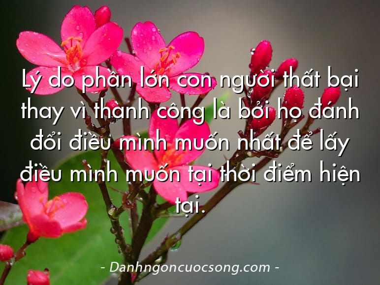 Lý do phần lớn con người thất bại thay vì thành công là bởi họ đánh đổi điều mình muốn nhất để lấy điều mình muốn tại thời điểm hiện tại.