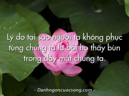 Lý do tại sao người ta không phục tùng chúng ta là bởi họ thấy bùn trong đáy mắt chúng ta.