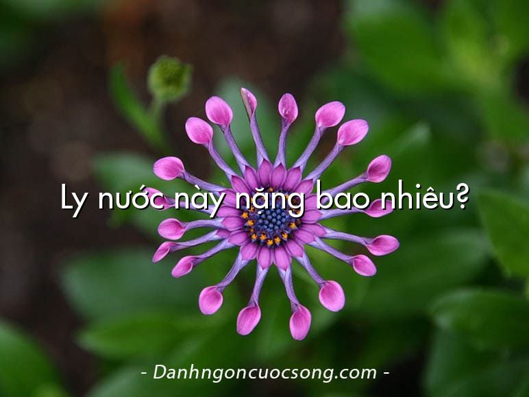 Ly nước này nặng bao nhiêu?
