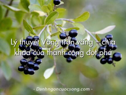 Lý thuyết Vòng tròn vàng – chìa khóa của thành công đột phá