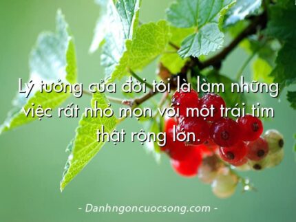 Lý tưởng của đời tôi là làm những việc rất nhỏ mọn với một trái tim thật rộng lớn.