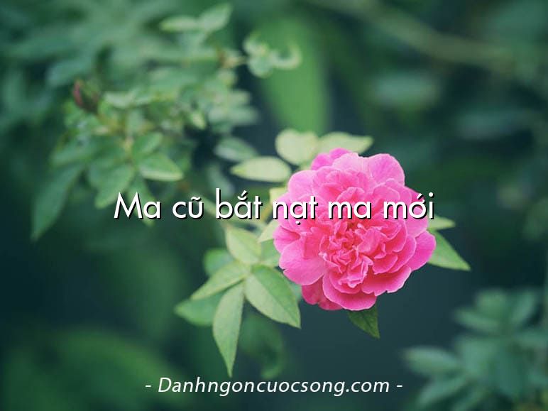 Ma cũ bắt nạt ma mới