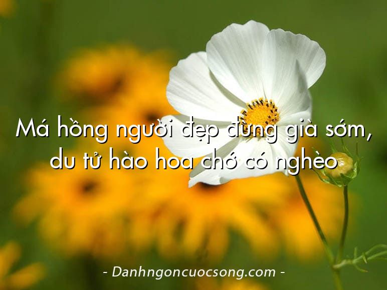 Má hồng người đẹp đừng già sớm, du tử hào hoa chớ có nghèo