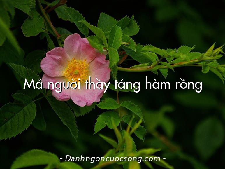 Mả người thầy táng hàm rồng