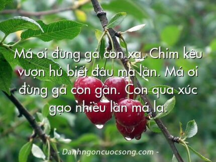 Má ơi đừng gả con xa. Chim kêu vượn hú biết đâu mà lần. Má ơi đừng gả con gần. Con qua xúc gạo nhiều lần má la.