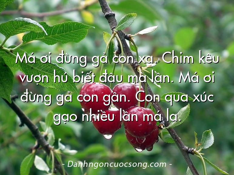 Má ơi đừng gả con xa. Chim kêu vượn hú biết đâu mà lần. Má ơi đừng gả con gần. Con qua xúc gạo nhiều lần má la.