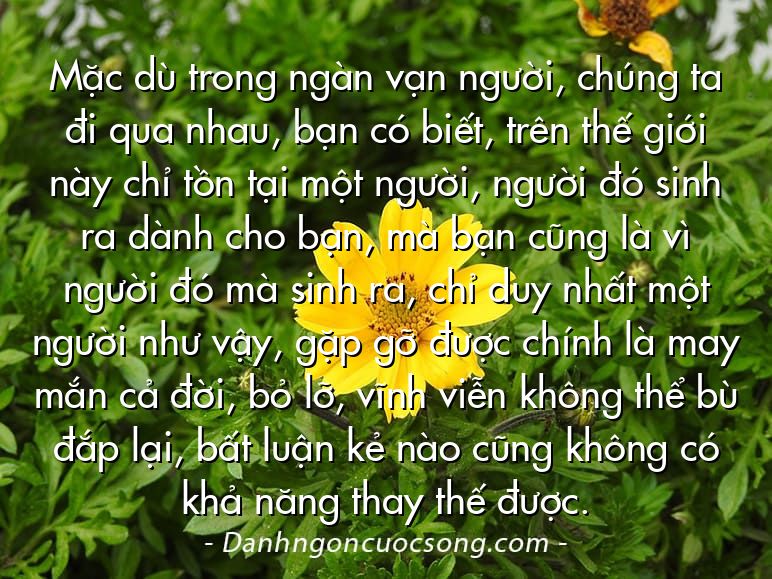 Mặc dù trong ngàn vạn người, chúng ta đi qua nhau, bạn có biết, trên thế giới này chỉ tồn tại một người, người đó sinh ra dành cho bạn, mà bạn cũng là vì người đó mà sinh ra, chỉ duy nhất một người như vậy, gặp gỡ được chính là may mắn cả đời, bỏ lỡ, vĩnh viễn không thể bù đắp lại, bất luận kẻ nào cũng không có khả năng thay thế được.