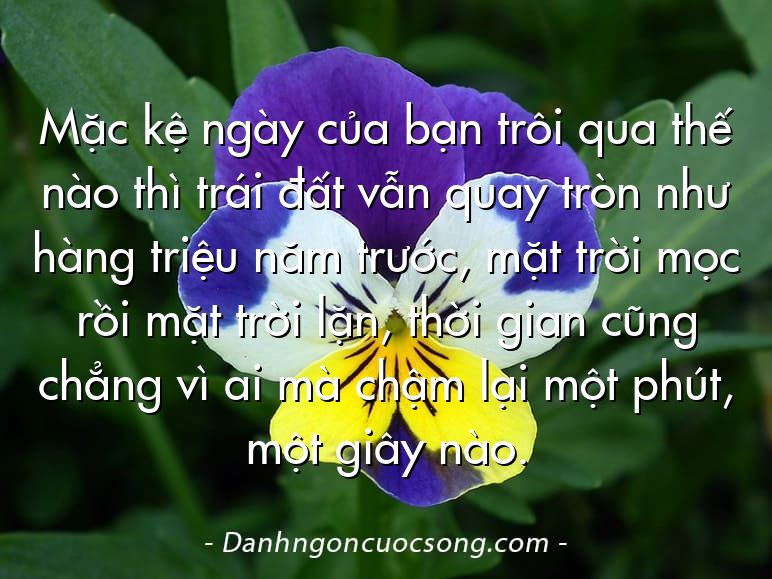 Mặc kệ ngày của bạn trôi qua thế nào thì trái đất vẫn quay tròn như hàng triệu năm trước, mặt trời mọc rồi mặt trời lặn, thời gian cũng chẳng vì ai mà chậm lại một phút, một giây nào.