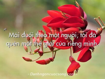Mãi đuổi theo một người, tôi đã quên mất thế giới của riêng mình.