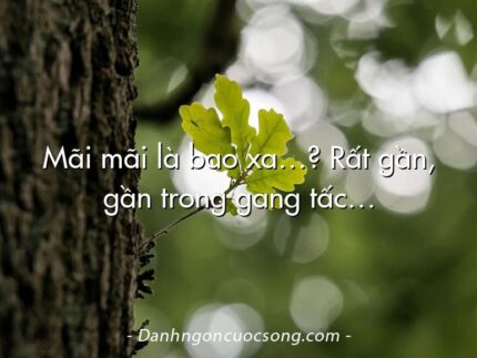Mãi mãi là bao xa…? Rất gần, gần trong gang tấc…