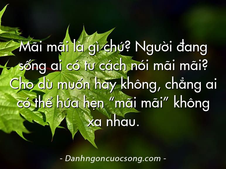 Mãi mãi là gì chứ? Người đang sống ai có tư cách nói mãi mãi? Cho dù muốn hay không, chẳng ai có thể hứa hẹn “mãi mãi” không xa nhau.