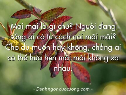 Mãi mãi là gì chứ? Người đang sống ai có tư cách nói mãi mãi? Cho dù muốn hay không, chẳng ai có thể hứa hẹn mãi mãi không xa nhau.