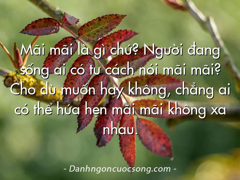 Mãi mãi là gì chứ? Người đang sống ai có tư cách nói mãi mãi? Cho dù muốn hay không, chẳng ai có thể hứa hẹn mãi mãi không xa nhau.