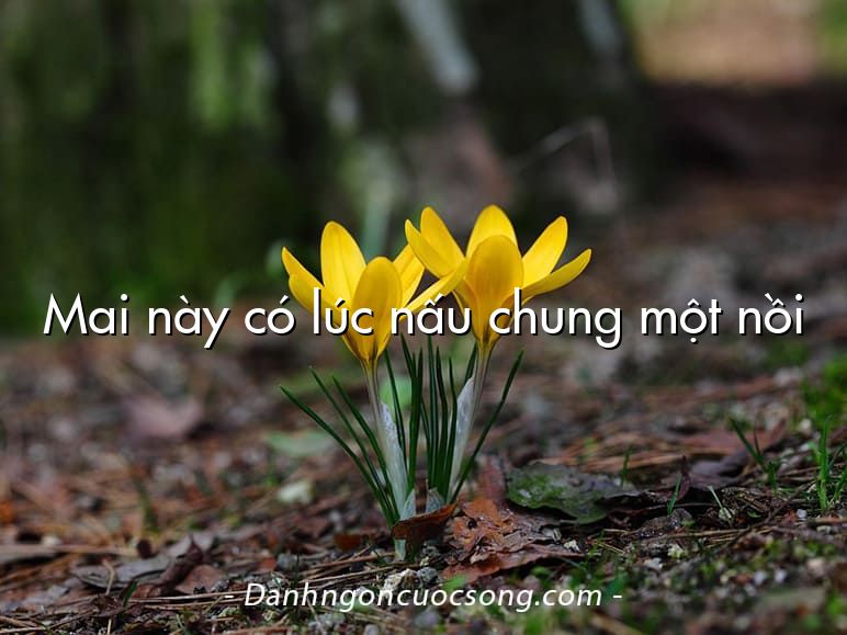 Mai này có lúc nấu chung một nồi