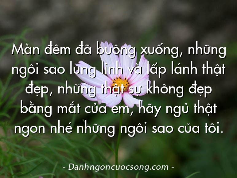 Màn đêm đã buông xuống, những ngôi sao lung linh và lấp lánh thật đẹp, những thật sự không đẹp bằng mắt của em, hãy ngủ thật ngon nhé những ngôi sao của tôi.