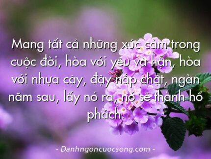 Mang tất cả những xúc cảm trong cuộc đời, hòa với yêu và hận, hòa với nhựa cây, đậy nắp chặt, ngàn năm sau, lấy nó ra, nó sẽ thành hổ phách.