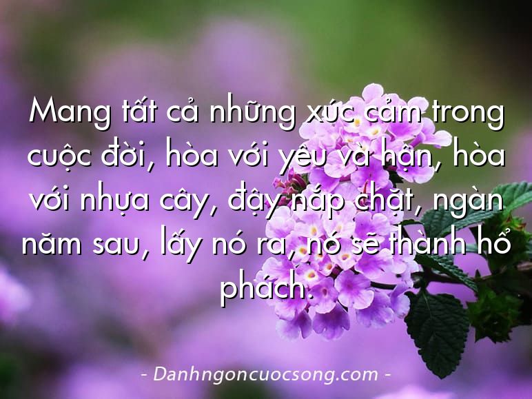 Mang tất cả những xúc cảm trong cuộc đời, hòa với yêu và hận, hòa với nhựa cây, đậy nắp chặt, ngàn năm sau, lấy nó ra, nó sẽ thành hổ phách.