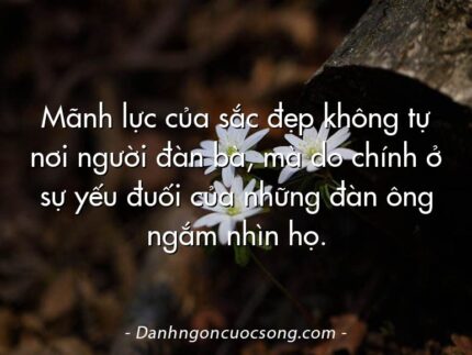 Mãnh lực của sắc đẹp không tự nơi người đàn bà, mà do chính ở sự yếu đuối của những đàn ông ngắm nhìn họ.