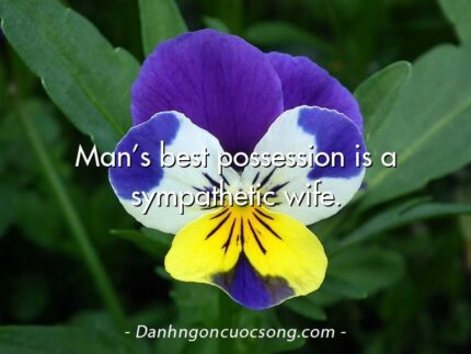 Man’s best possession is a sympathetic wife.
