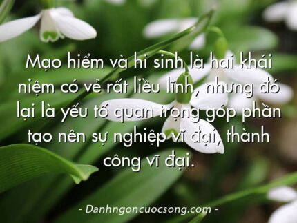 Mạo hiểm và hi sinh là hai khái niệm có vẻ rất liều lĩnh, nhưng đó lại là yếu tố quan trọng góp phần tạo nên sự nghiệp vĩ đại, thành công vĩ đại.