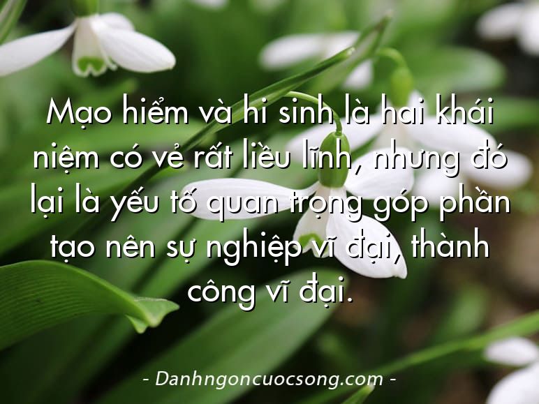 Mạo hiểm và hi sinh là hai khái niệm có vẻ rất liều lĩnh, nhưng đó lại là yếu tố quan trọng góp phần tạo nên sự nghiệp vĩ đại, thành công vĩ đại.