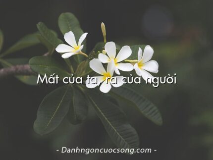 Mất của ta, ra của người