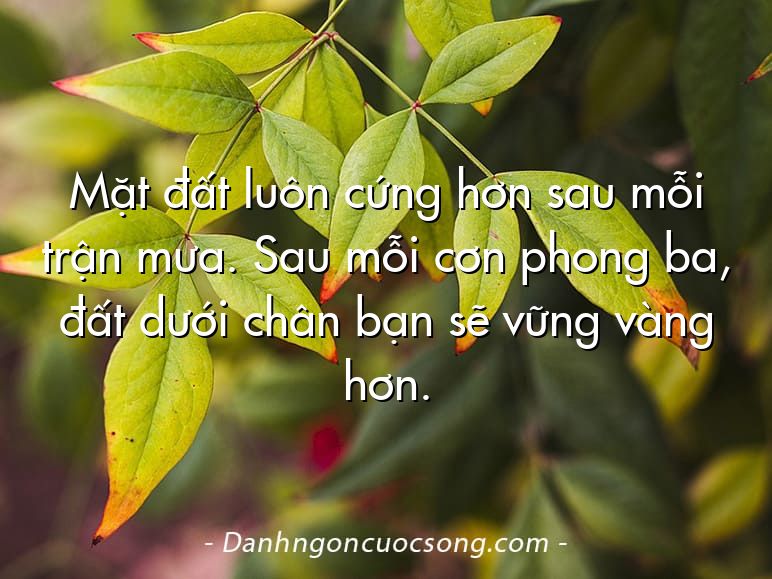 Mặt đất luôn cứng hơn sau mỗi trận mưa. Sau mỗi cơn phong ba, đất dưới chân bạn sẽ vững vàng hơn.