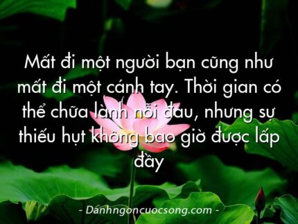 Mất đi một người bạn cũng như mất đi một cánh tay. Thời gian có thể chữa lành nỗi đau, nhưng sự thiếu hụt không bao giờ được lấp đầy