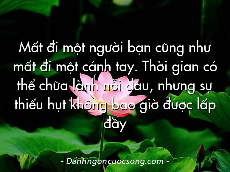 Mất đi một người bạn cũng như mất đi một cánh tay. Thời gian có thể chữa lành nỗi đau, nhưng sự thiếu hụt không bao giờ được lấp đầy
