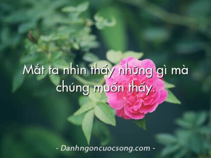Mắt ta nhìn thấy những gì mà chúng muốn thấy.