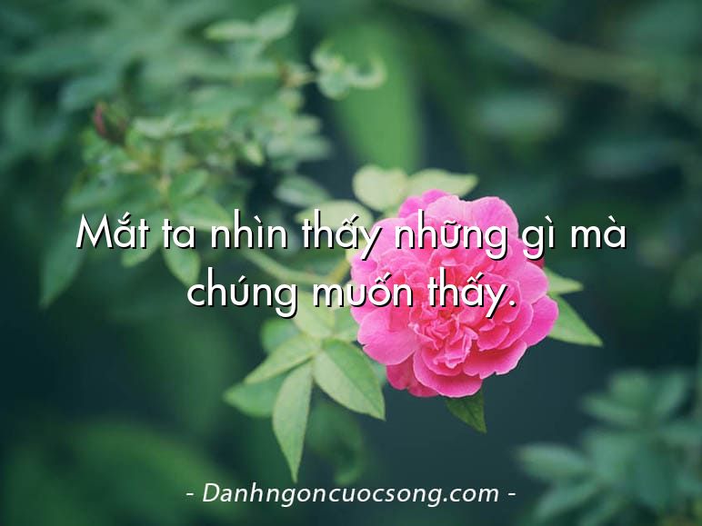 Mắt ta nhìn thấy những gì mà chúng muốn thấy.