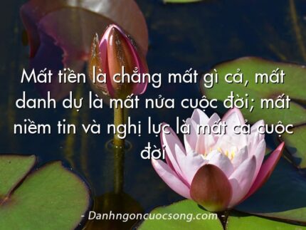 Mất tiền là chẳng mất gì cả, mất danh dự là mất nửa cuộc đời; mất niềm tin và nghị lực là mất cả cuộc đời