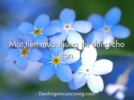 Mất tiền mua thúng thì đựng cho tan