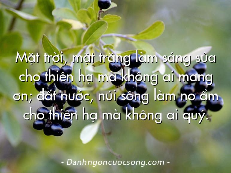 Mặt trời, mặt trăng làm sáng sủa cho thiên hạ mà không ai mang ơn; đất nước, núi sông làm no ẩm cho thiên hạ mà không ai quý.