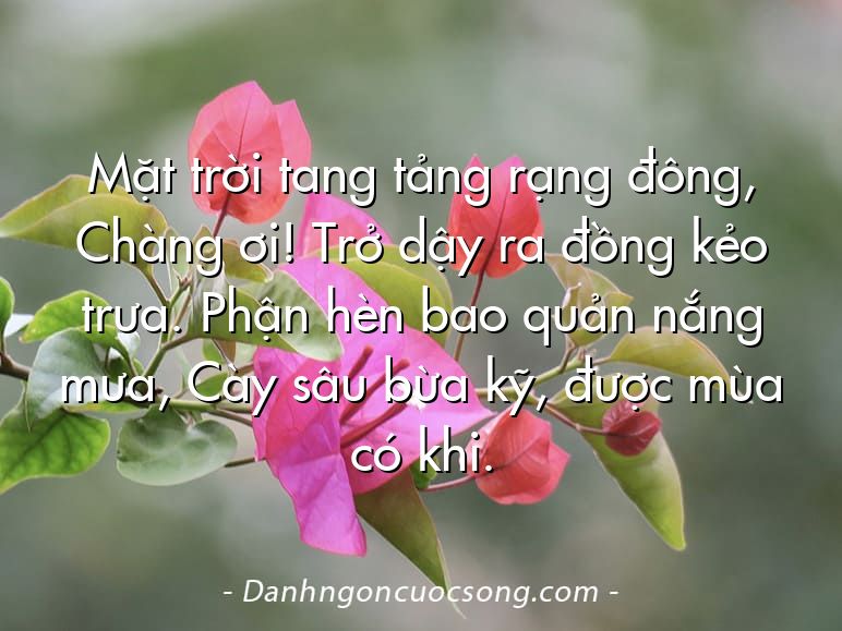 Mặt trời tang tảng rạng đông, Chàng ơi! Trở dậy ra đồng kẻo trưa. Phận hèn bao quản nắng mưa, Cày sâu bừa kỹ, được mùa có khi.