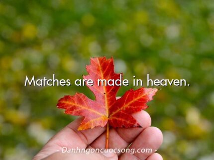 Matches are made in heaven.