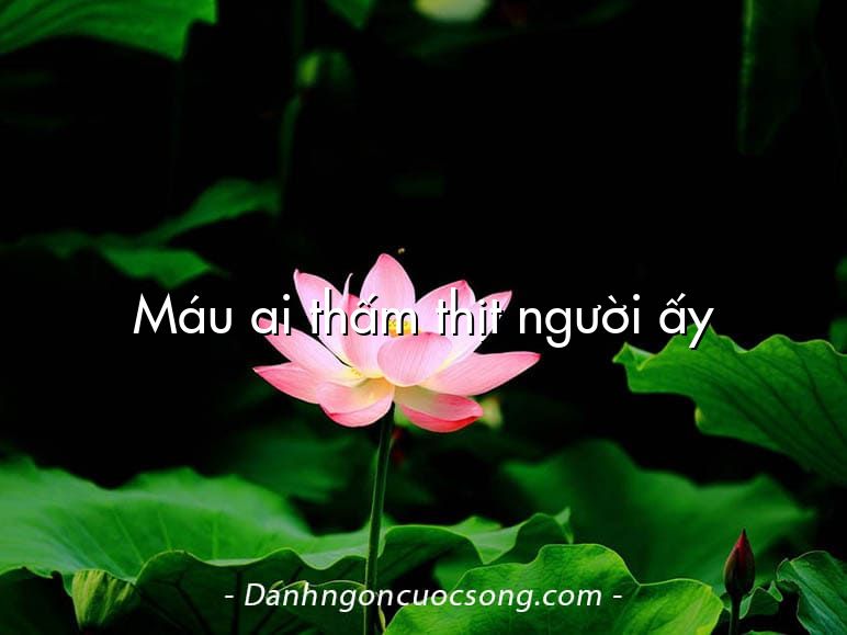 Máu ai thấm thịt người ấy