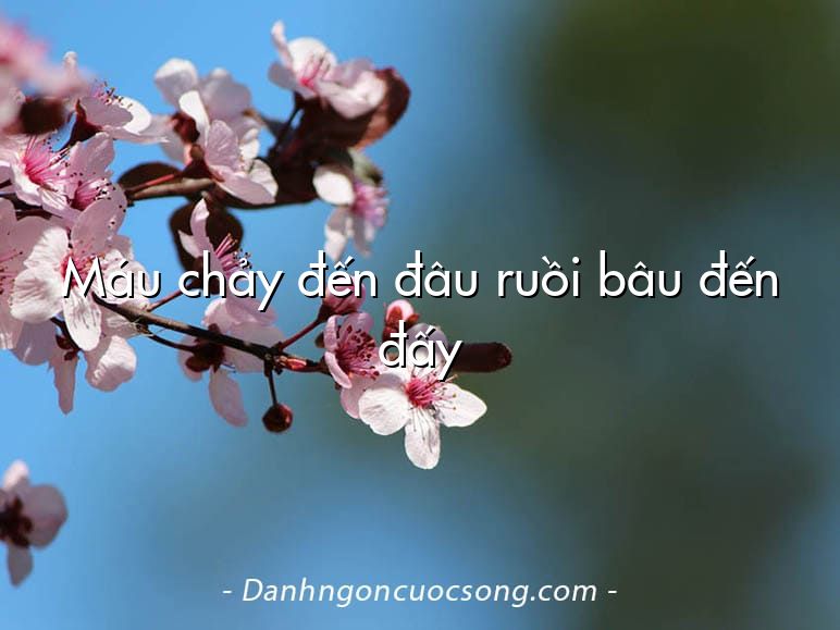 Máu chảy đến đâu ruồi bâu đến đấy