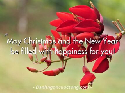 May Christmas and the New Year be filled with happiness for you!