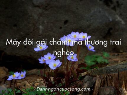 Mấy đời gái chảnh mà thương trai nghèo