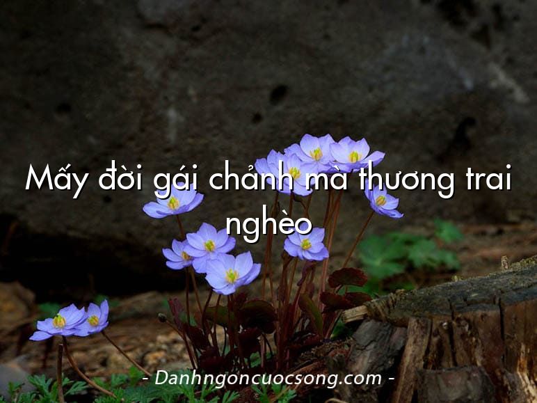 Mấy đời gái chảnh mà thương trai nghèo