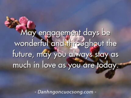 May engagement days be wonderful and throughout the future, may you always stay as much in love as you are today.