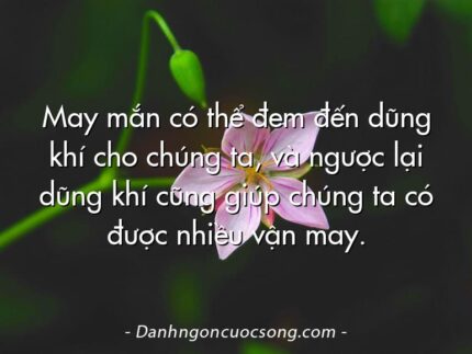 May mắn có thể đem đến dũng khí cho chúng ta, và ngược lại dũng khí cũng giúp chúng ta có được nhiều vận may.