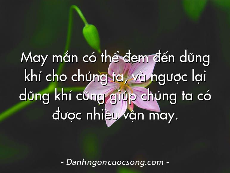 May mắn có thể đem đến dũng khí cho chúng ta, và ngược lại dũng khí cũng giúp chúng ta có được nhiều vận may.